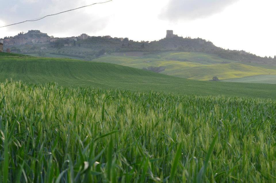 Val D'Orcia Nel Borgo Appartement Castiglione dʼOrcia Buitenkant foto