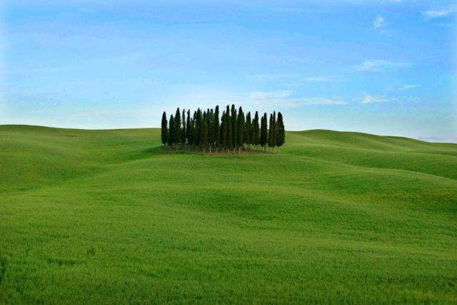 Val D'Orcia Nel Borgo Appartement Castiglione dʼOrcia Buitenkant foto